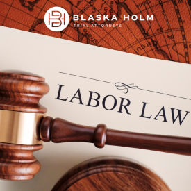 Employment Law at Blaska Holm